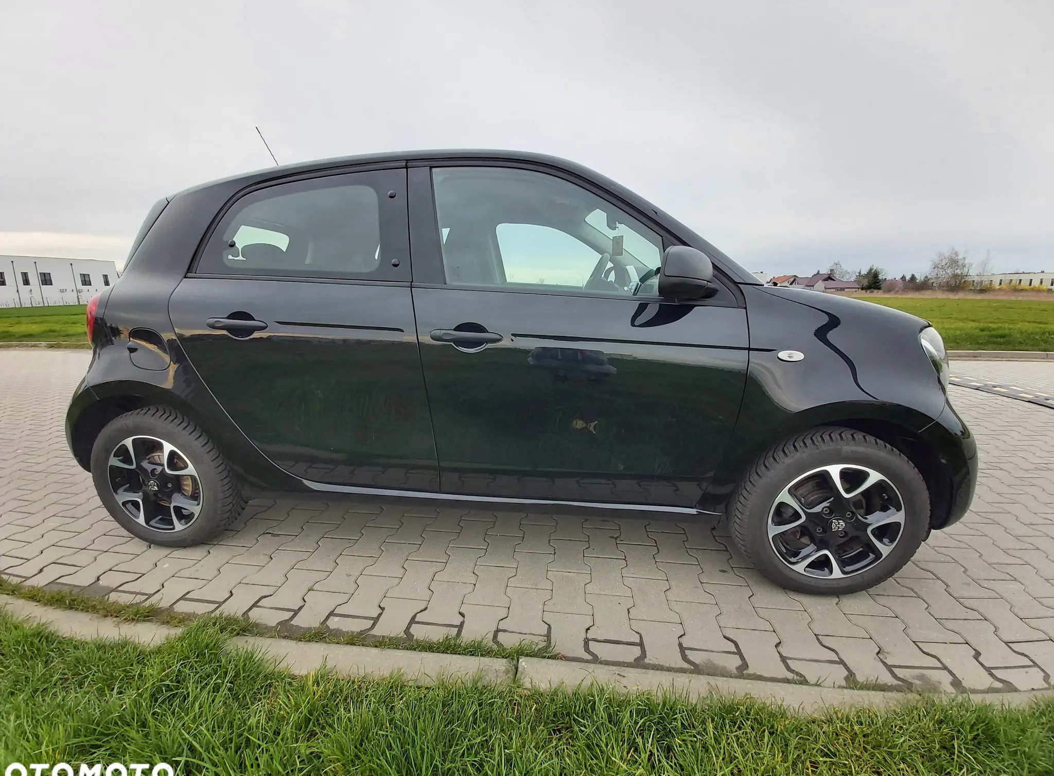 Smart Forfour cena 36900 przebieg: 56200, rok produkcji 2019 z Milicz małe 67